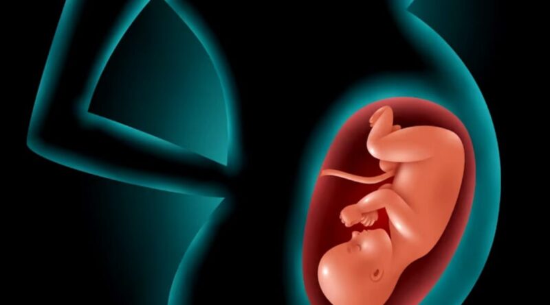 Hépatite B et grossesse: Dans 90% des cas, les enfants contaminés à la naissance vont être des porteurs chroniques (Pr Bambara)