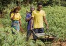 Engagement médiatique pour une agriculture durable : des journalistes africains se mobilisent pour l’agroécologie et la justice climatique