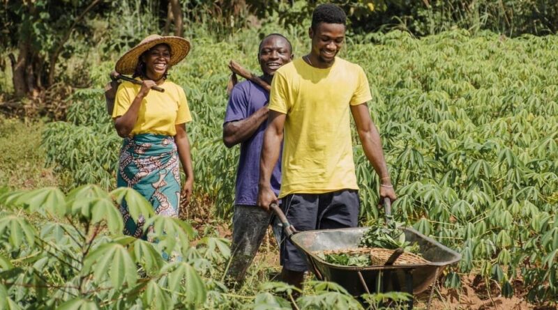 Engagement médiatique pour une agriculture durable : des journalistes africains se mobilisent pour l’agroécologie et la justice climatique
