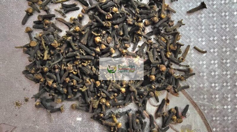 Clou de girofle : quand le naturel peut devenir dangereux Clou de girofle : quand le naturel peut devenir dangereux