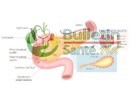 Cancer du pancréas : le cancer dont on parle peu, mais qui tue beaucoup